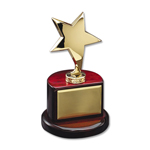 Gold Star Award